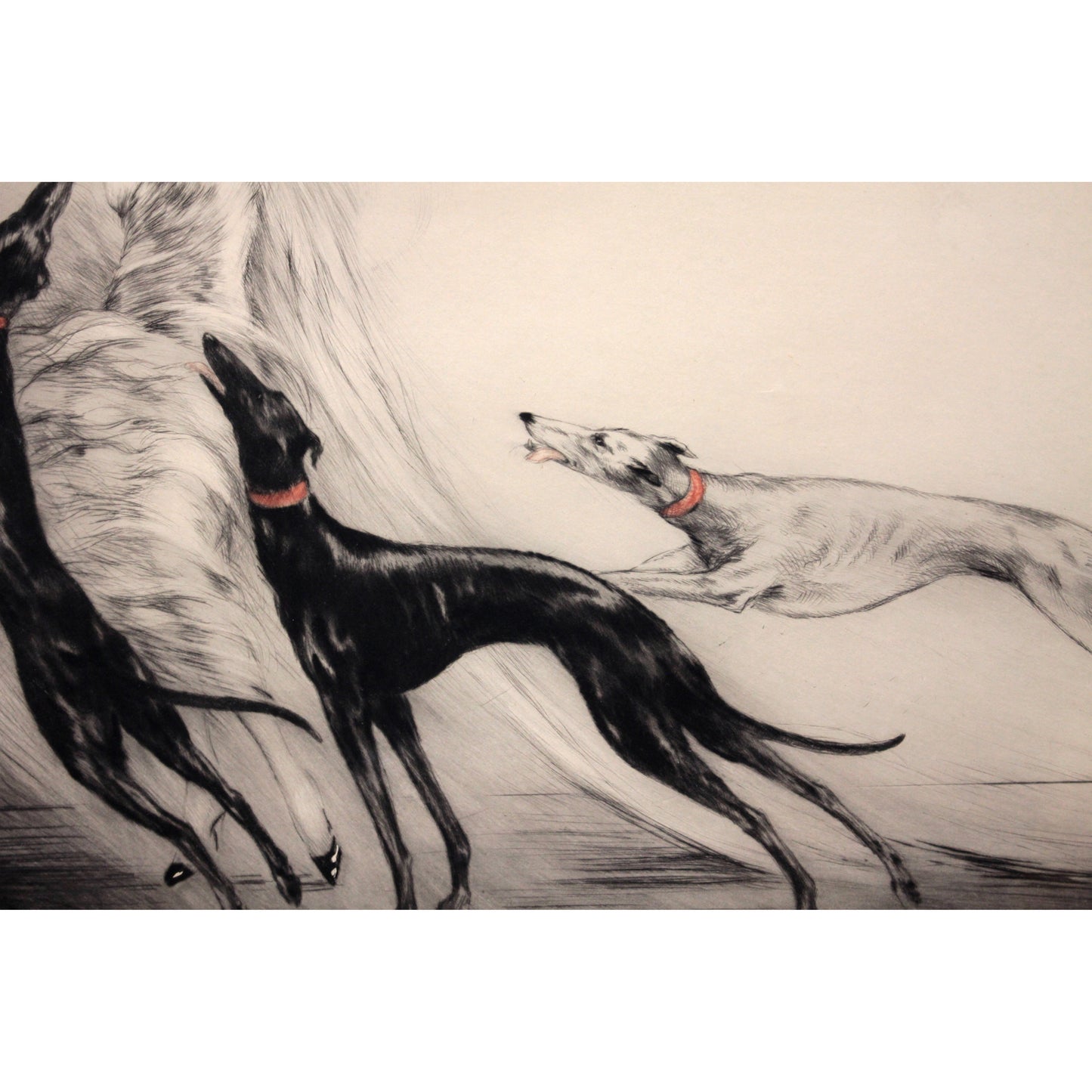 E3_82_A4_E3_82_AB_E3_83_BC_E3_83_AB__E3_82_B3_E3_83_BC_E3_82_B7_E3_83_B3_E3_82_B02_03