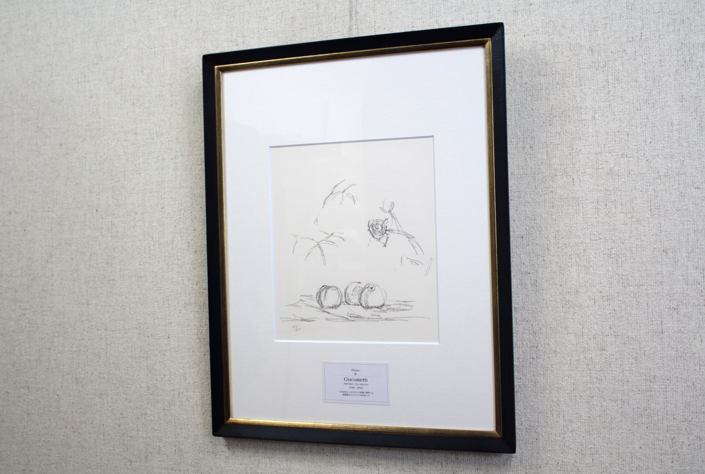 E3_82_B8_E3_83_A3_E3_82_B3_E3_83_A1_E3_83_83_E3_83_86_E3_82_A3_Fleurs_01