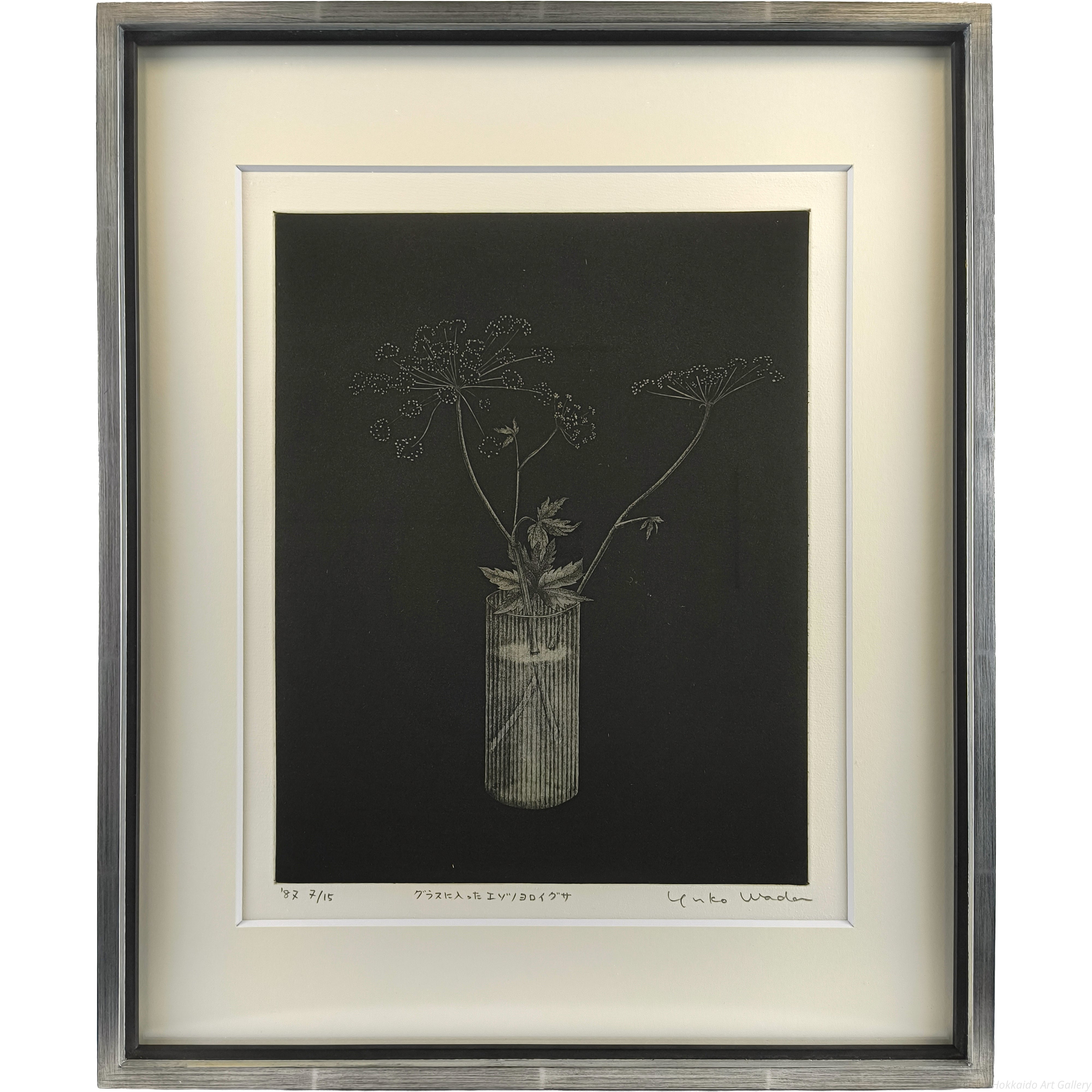 伊藤倭子 『グラスに入ったエゾノヨロイグサ』 銅版画 - 北海道画廊