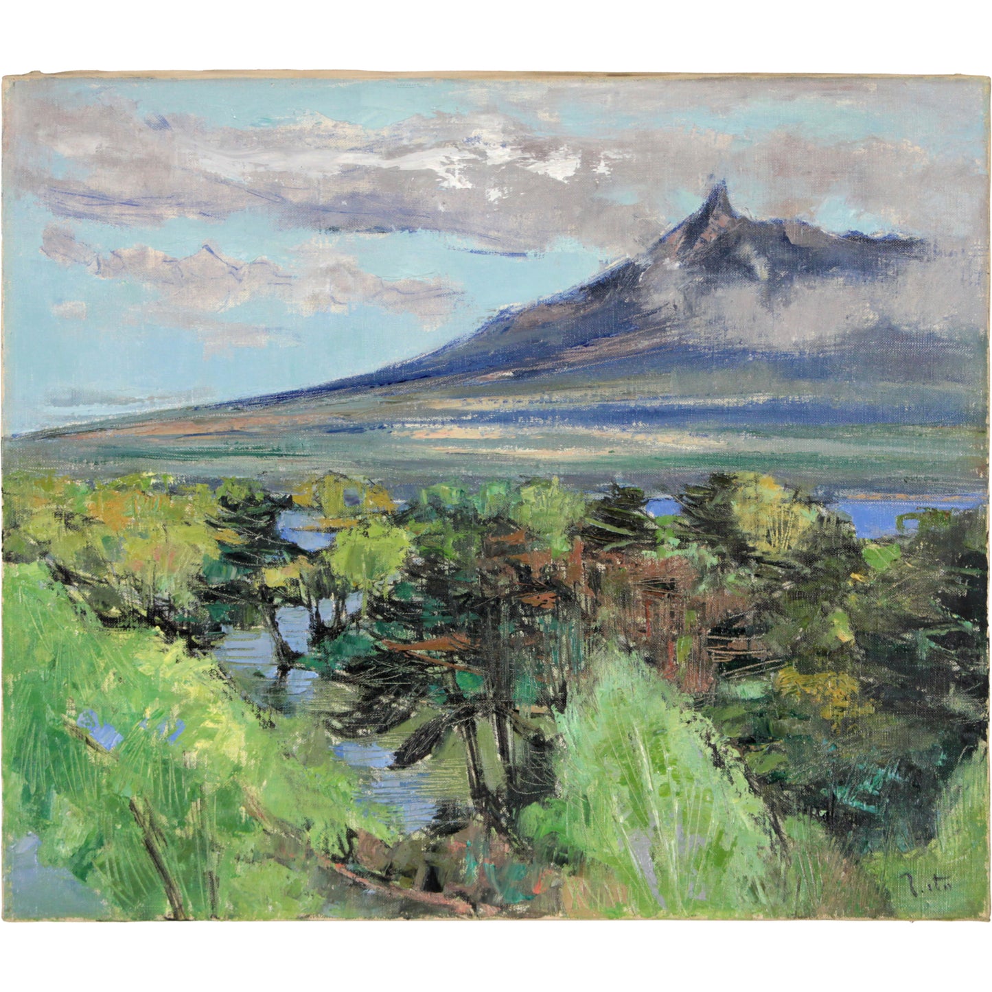 E4_BC_8A_E8_97_A4_E6_AD_A3__E6_96_B0_E7_B7_91_E3_81_AE_E5_A4_A7_E6_B2_BC__E8_A1_A8