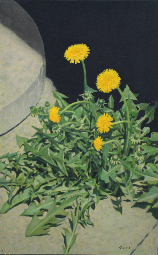 E4_BD_90_E3_80_85_E6_9C_A8_E6_95_8F_E5_85_89__E6_97_A5_E5_90_91_E8_8D_89__E8_A1_A8