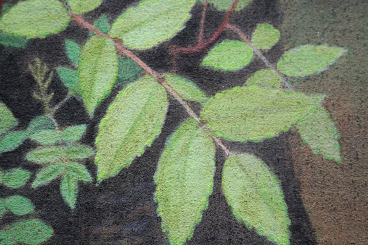 E4_BD_90_E3_80_85_E6_9C_A8_E6_95_8F_E5_85_89__E8_8B_A5_E8_91_89__E3_83_8A_E3_83_8A_E3_82_AB_E3_83_9E_E3_83_89_01