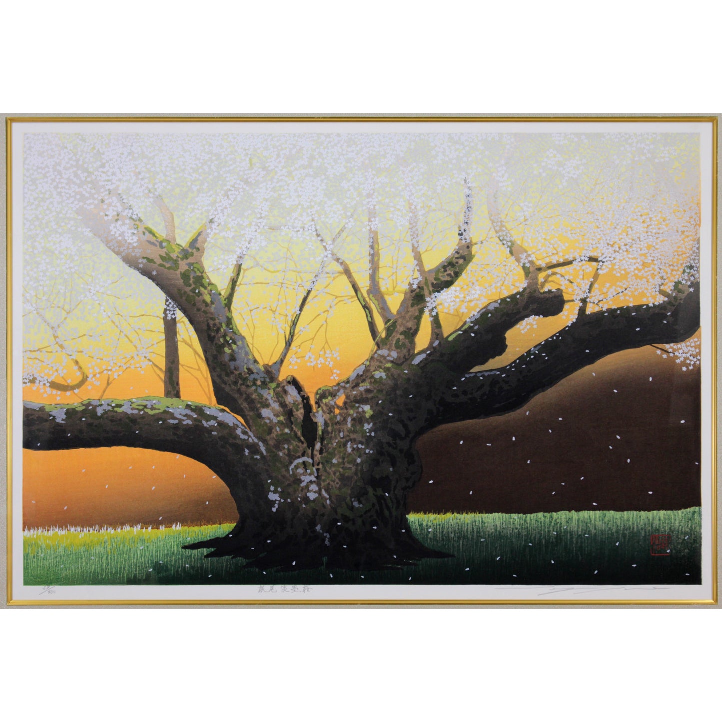 E4_BD_90_E9_87_8E_E3_81_9B_E3_81_84_E3_81_98__E6_A0_B9_E5_B0_BE_E6_B7_A1_E5_A2_A8_E6_A1_9C__E8_A1_A8