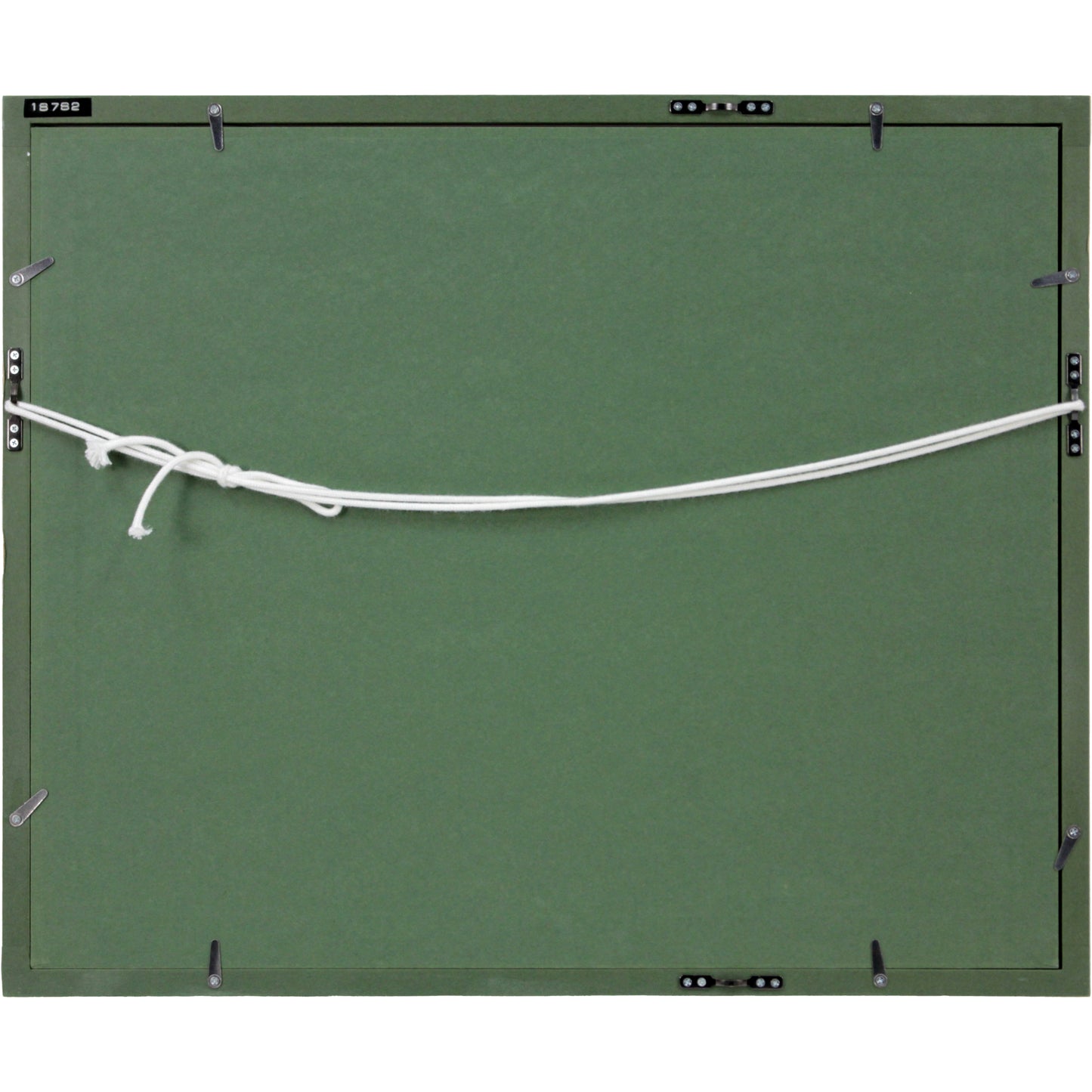 E8_8A_B1_E6_BE_A4_E6_B4_8B_E5_A4_AA__E3_82_82_E3_82_8A__E9_A1_8D_E8_A3_8F