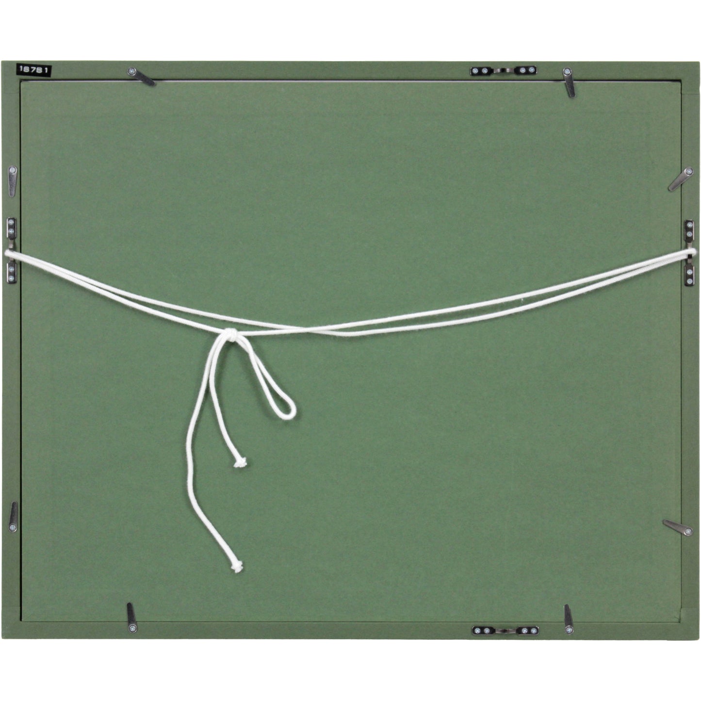 E8_8A_B1_E6_BE_A4_E6_B4_8B_E5_A4_AA__E3_83_A2_E3_83_AA__E9_A1_8D_E8_A3_8F