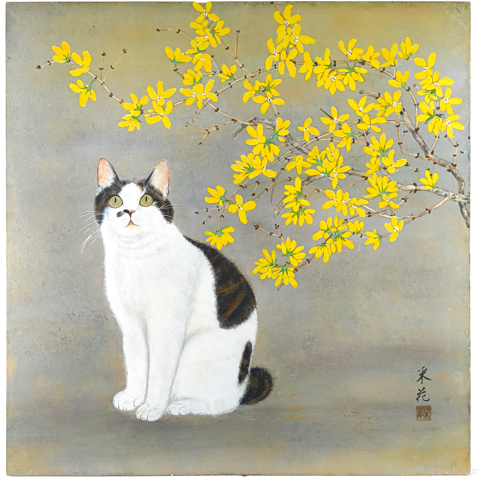 黒川采花 『猫と連翹』 日本画 - 北海道画廊