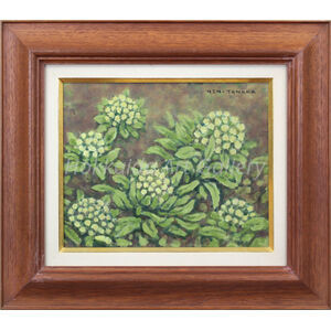 田中 稔 『ふきのとう』 油彩画 - 北海道画廊