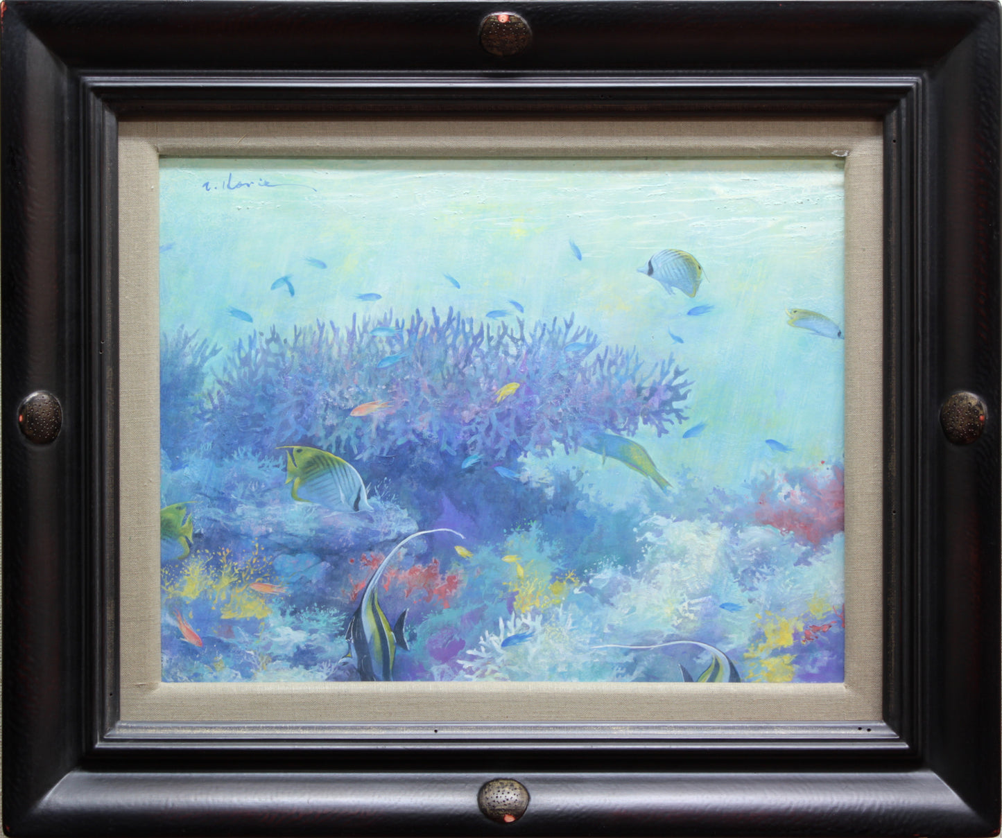 トロピカルフィッシュ(パープルコーラル)