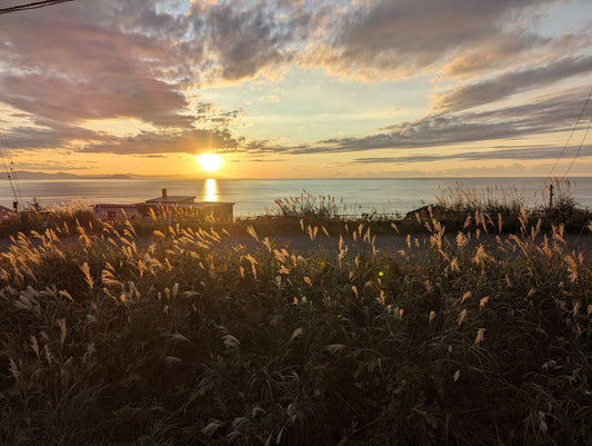 夕日の美術館 2025年度の営業を終了いたしました