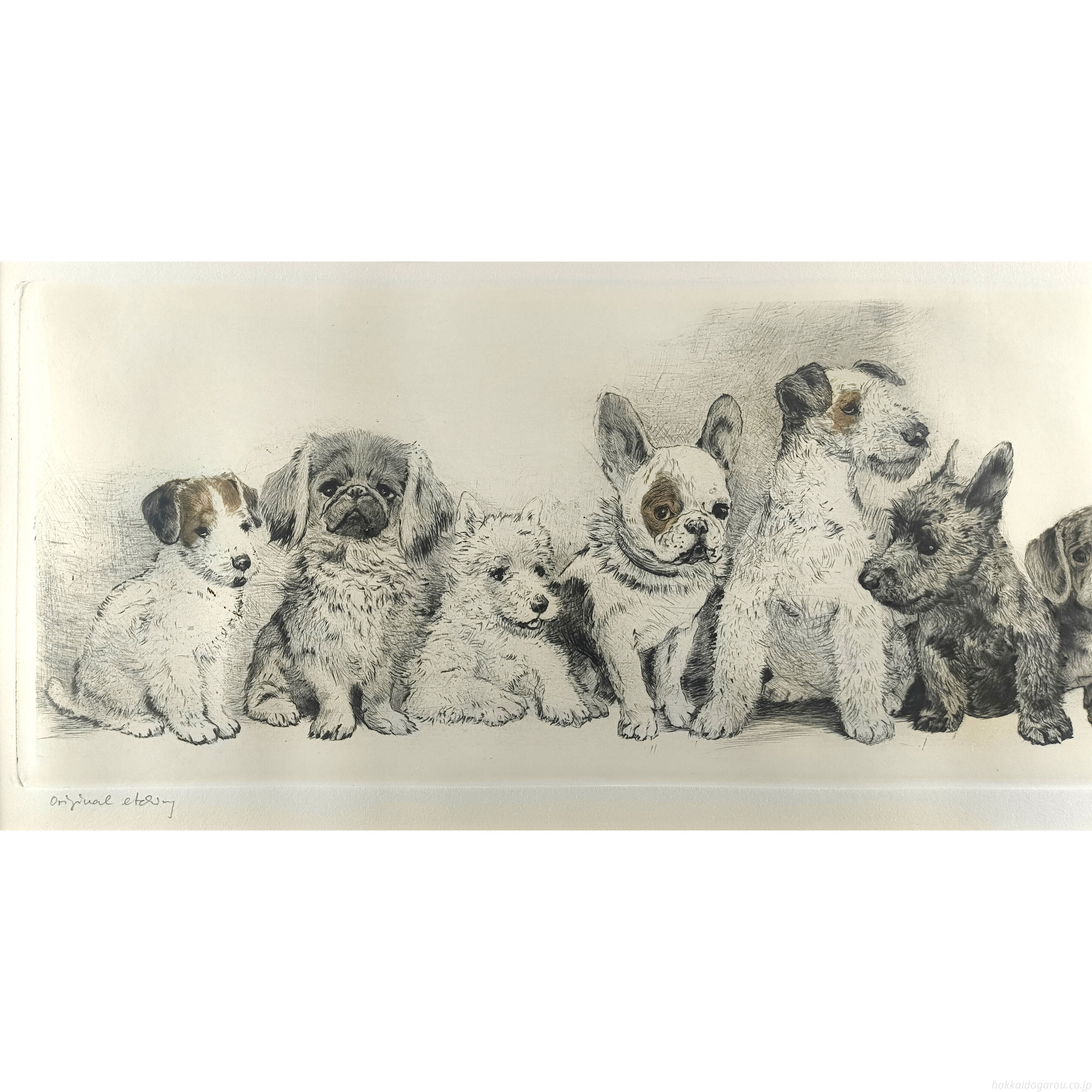ヴィンテージ銅版画  Meyer Eberhardt 「3匹のテリア犬」 クルト・メイヤー・エバーハート 『8匹の子犬達』 エッチング - 北海道画廊