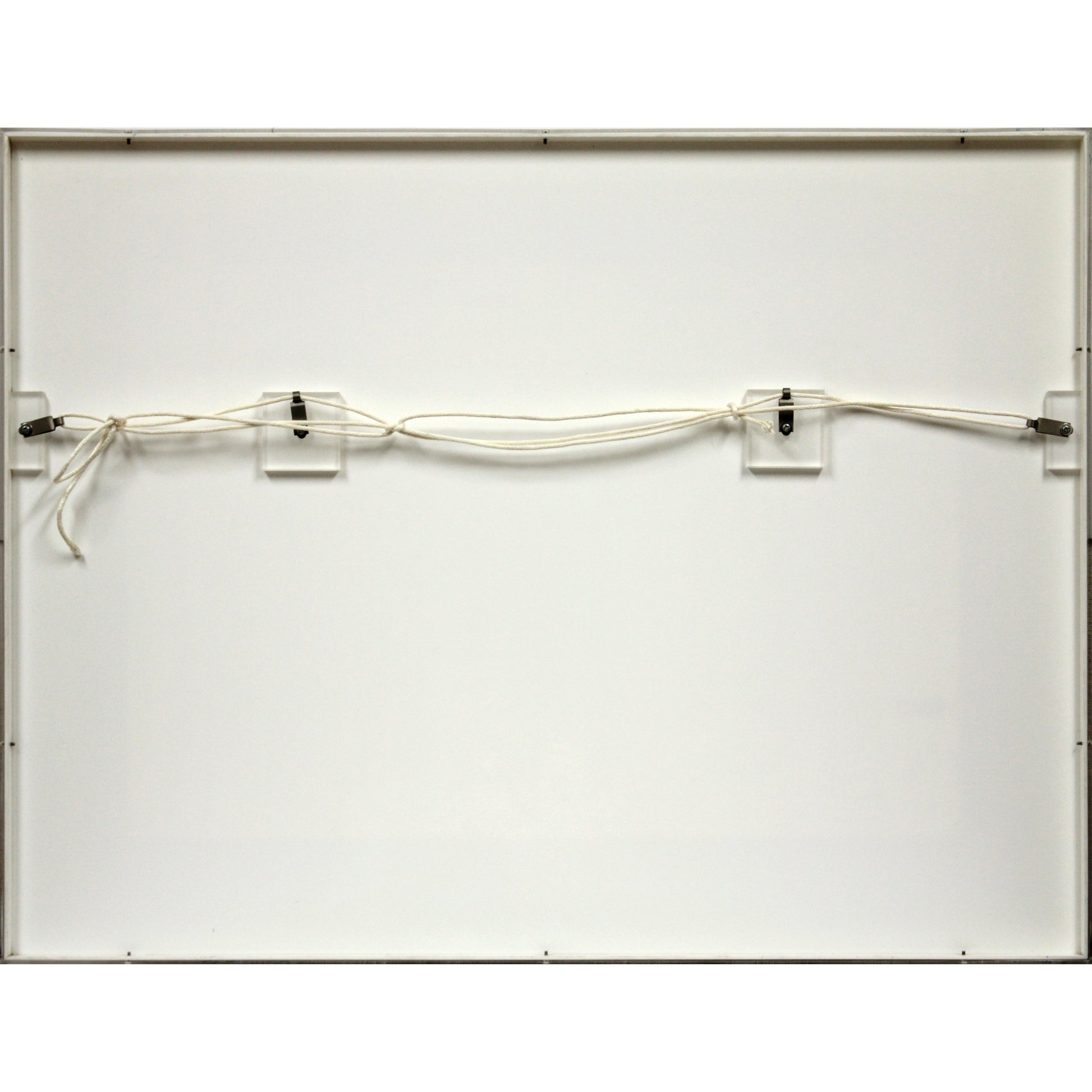 E3_82_B3_E3_83_AF_E3_83_8B_E3_83_A3_E3_83_BC_E3_83_AB__E7_94_BB_E9_A1_8C_E4_B8_8D_E8_A9_B3__E9_A1_8D_E8_A3_8F