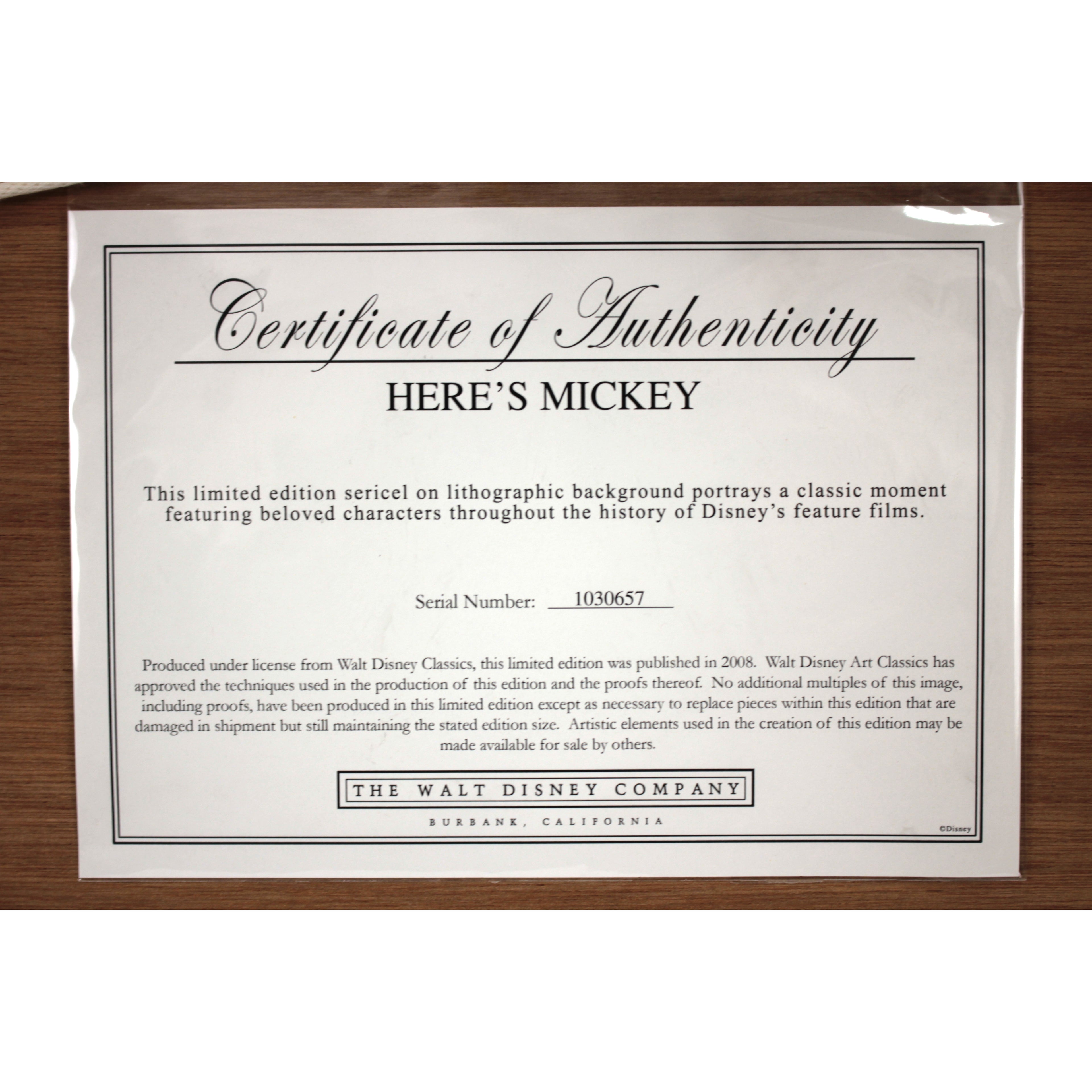 E3_83_87_E3_82_A3_E3_82_BA_E3_83_8B_E3_83_BC_HERES_MICKEY__E8_A8_BC_E6_98_8E_E6_9B_B8