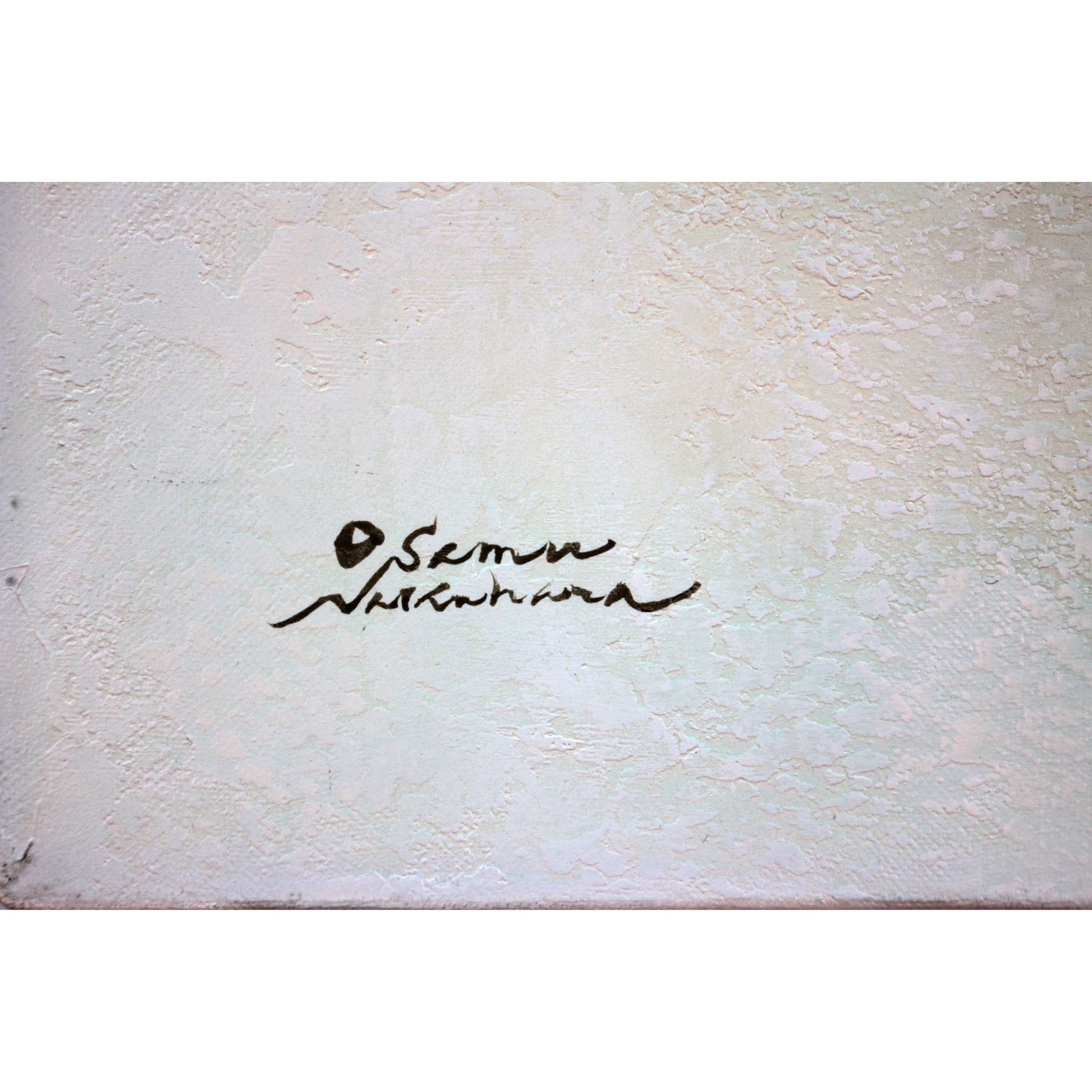 E4_B8_AD_E5_8E_9F_E8_84_A9__E5_B0_91_E5_A5_B3_E3_81_AE_E5_AE_B6__E3_82_B5_E3_82_A4_E3_83_B3