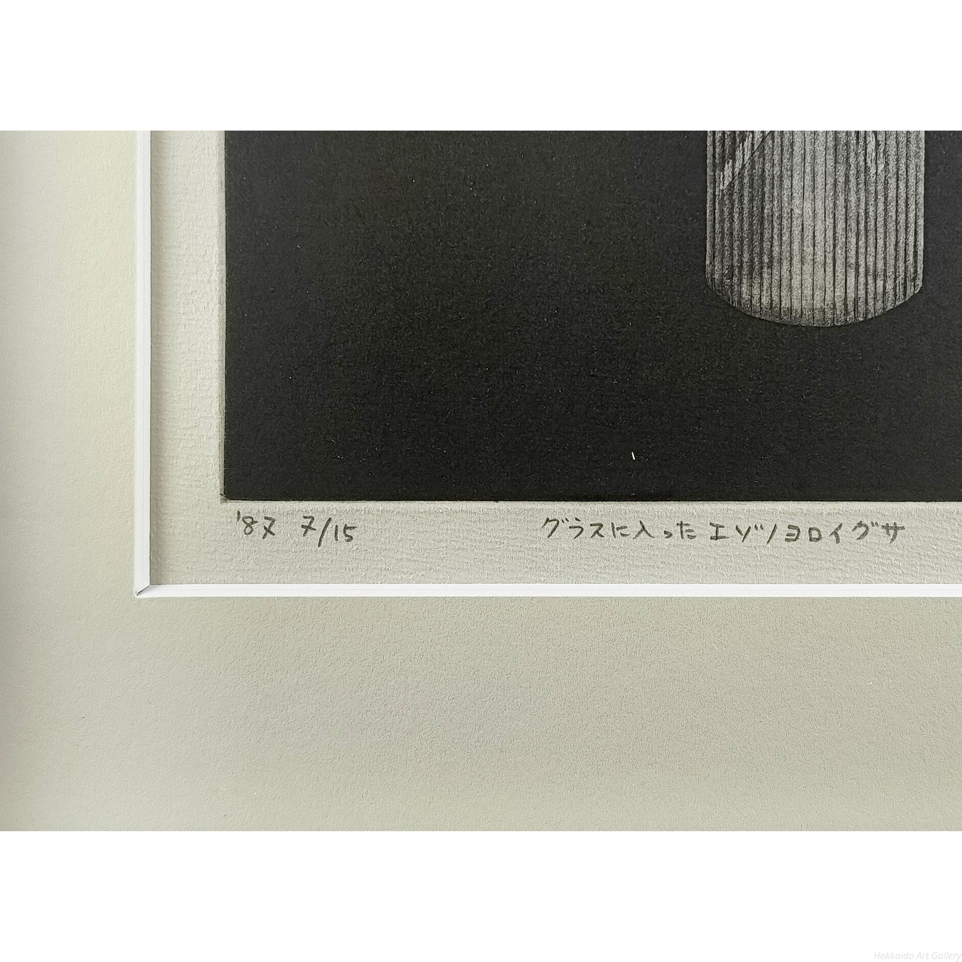 E4_BC_8A_E8_97_A4_E5_80_AD_E5_AD_90__E3_82_A8_E3_82_BE_E3_83_8E_E3_83_A8_E3_83_AD_E3_82_A4_E3_82_B0_E3_82_B5__E9_99_90_E5_AE_9A