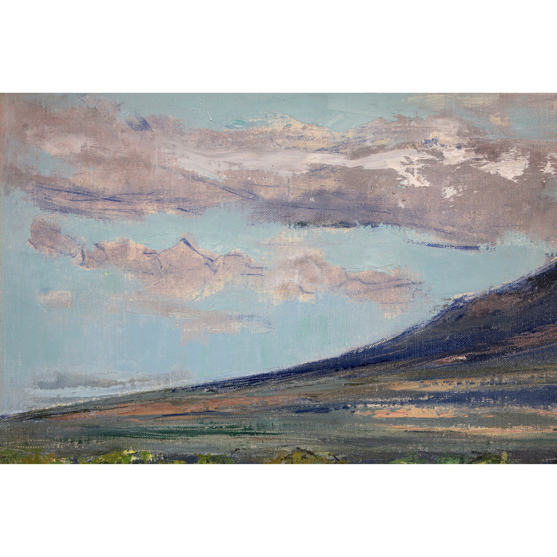 E4_BC_8A_E8_97_A4_E6_AD_A3__E6_96_B0_E7_B7_91_E3_81_AE_E5_A4_A7_E6_B2_BC_01