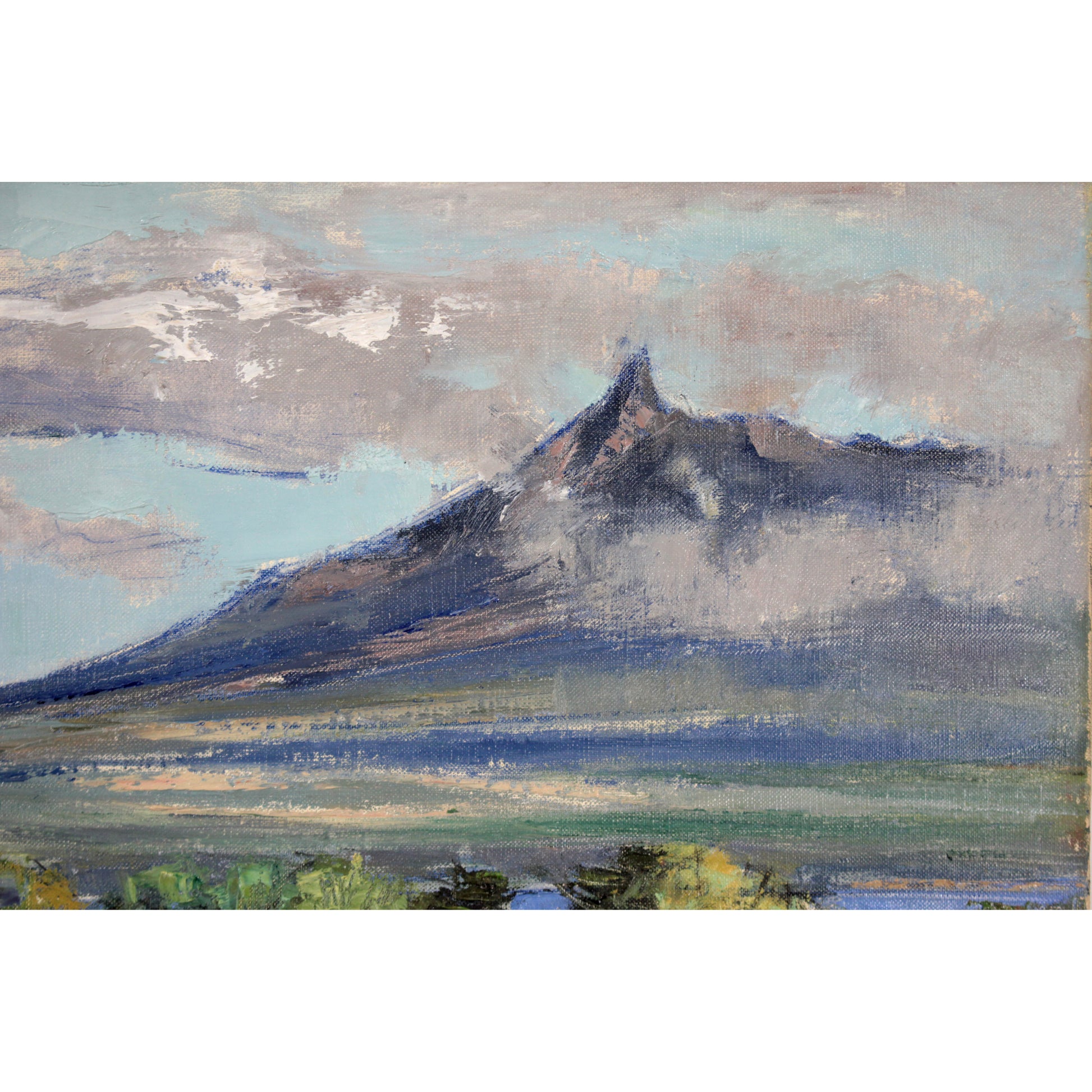 E4_BC_8A_E8_97_A4_E6_AD_A3__E6_96_B0_E7_B7_91_E3_81_AE_E5_A4_A7_E6_B2_BC_02