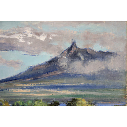 E4_BC_8A_E8_97_A4_E6_AD_A3__E6_96_B0_E7_B7_91_E3_81_AE_E5_A4_A7_E6_B2_BC_02