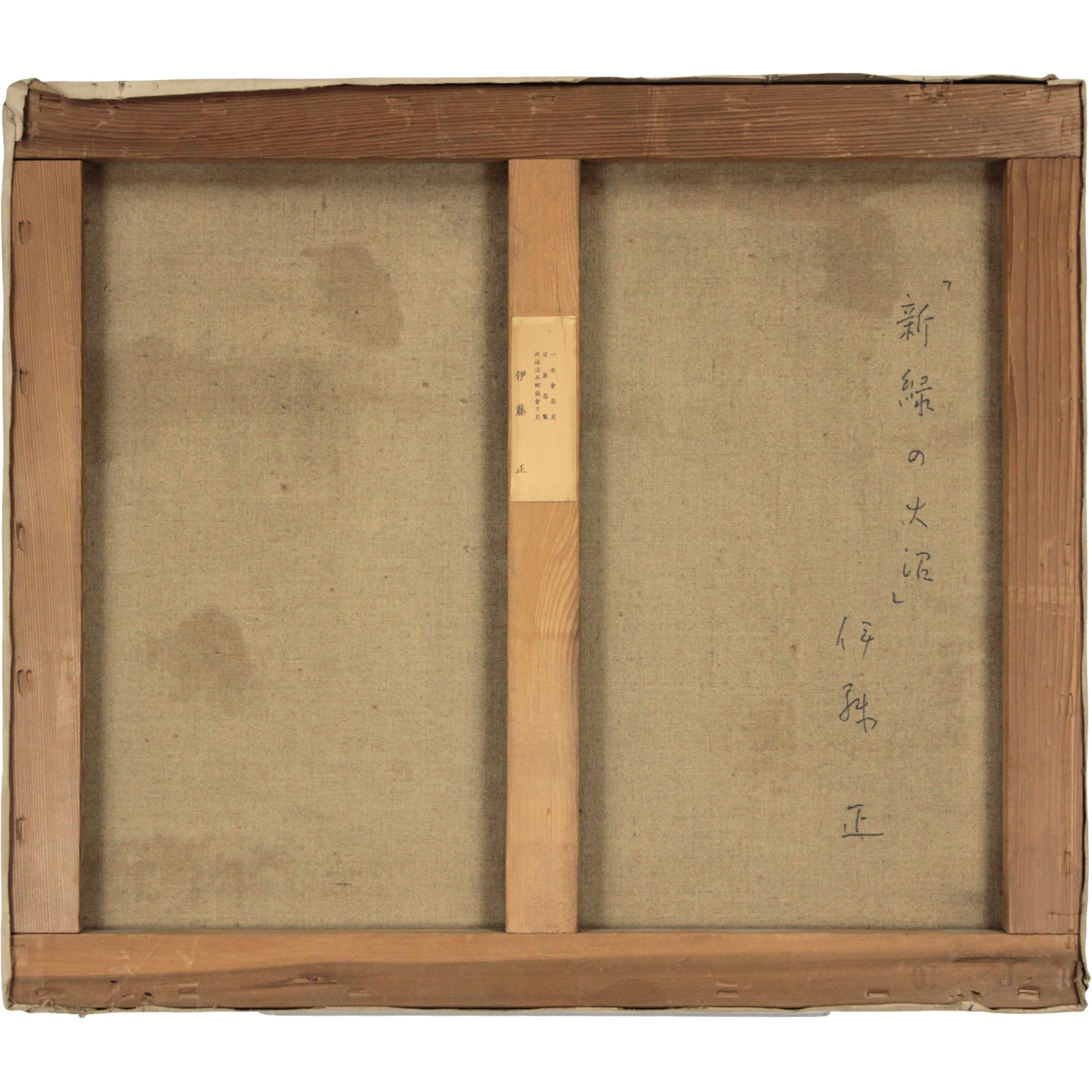 E4_BC_8A_E8_97_A4_E6_AD_A3__E6_96_B0_E7_B7_91_E3_81_AE_E5_A4_A7_E6_B2_BC__E8_A3_8F