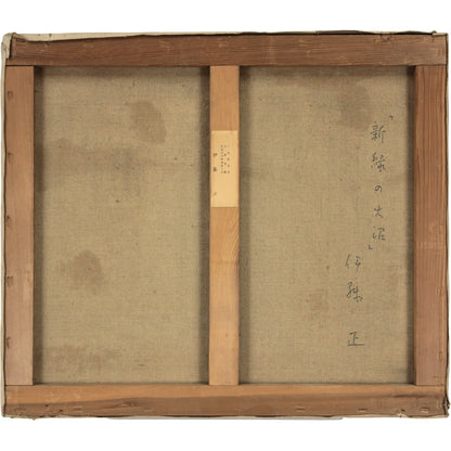 E4_BC_8A_E8_97_A4_E6_AD_A3__E6_96_B0_E7_B7_91_E3_81_AE_E5_A4_A7_E6_B2_BC__E8_A3_8F