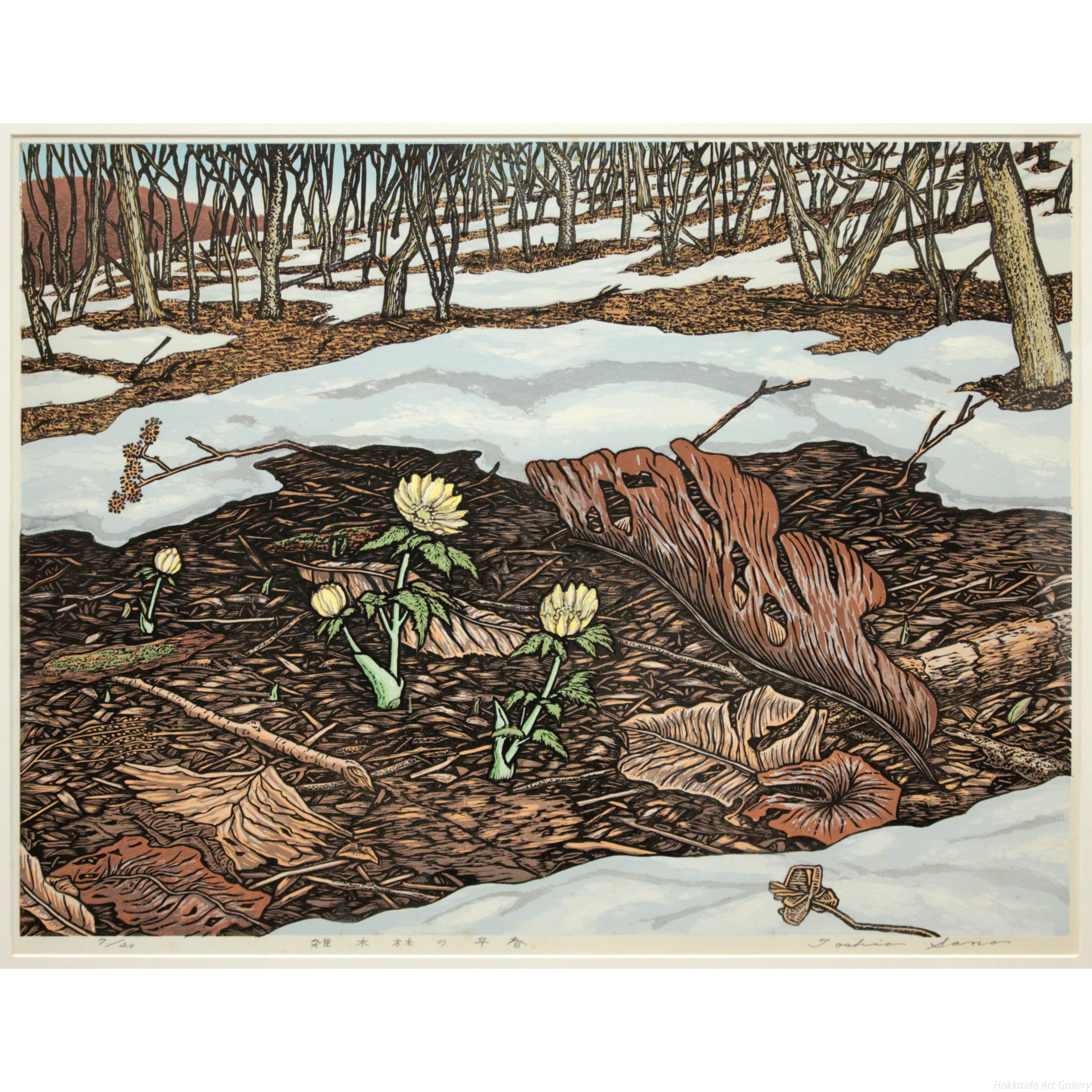 佐野敏夫 『雑木林の早春』 木版画 - 北海道画廊