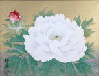 E5_85_AB_E6_9C_A8_E8_BC_9D_E6_98_AD__E7_99_BD_E7_89_A1_E4_B8_B9__E8_A1_A8