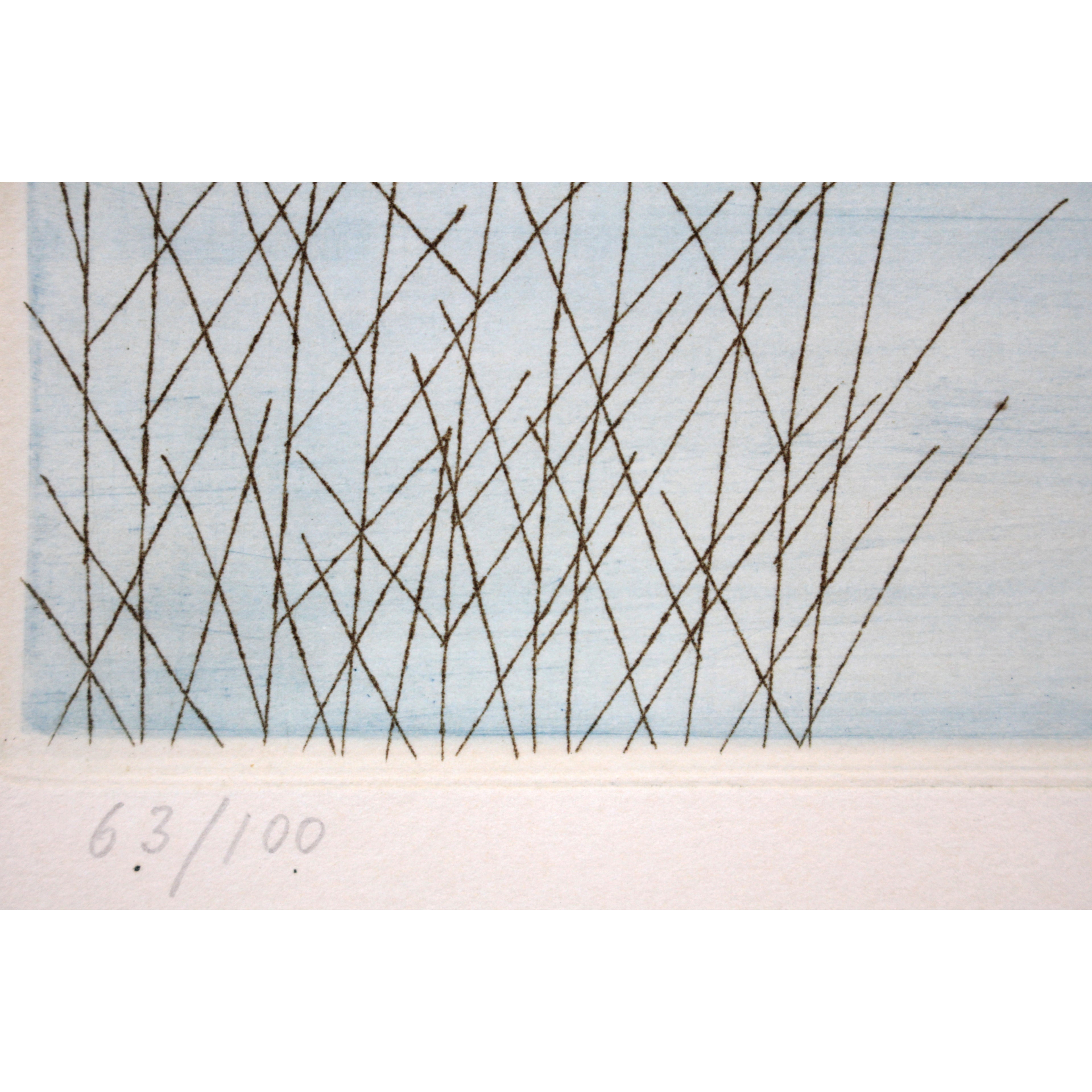 E5_8D_97_E6_A1_82_E5_AD_90__E5_B0_91_E5_A5_B3_E3_81_A8_E8_8A_B1_E6_9D_9F__E9_99_90_E5_AE_9A