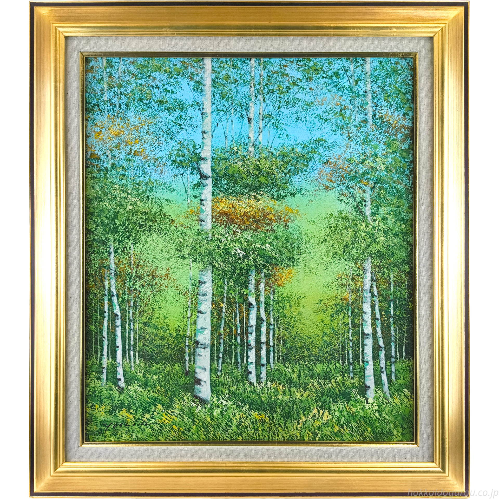 吉田敏之 『白樺』 油彩画 - 北海道画廊 吉田敏之 『白樺』 油彩画 - 北海道画廊