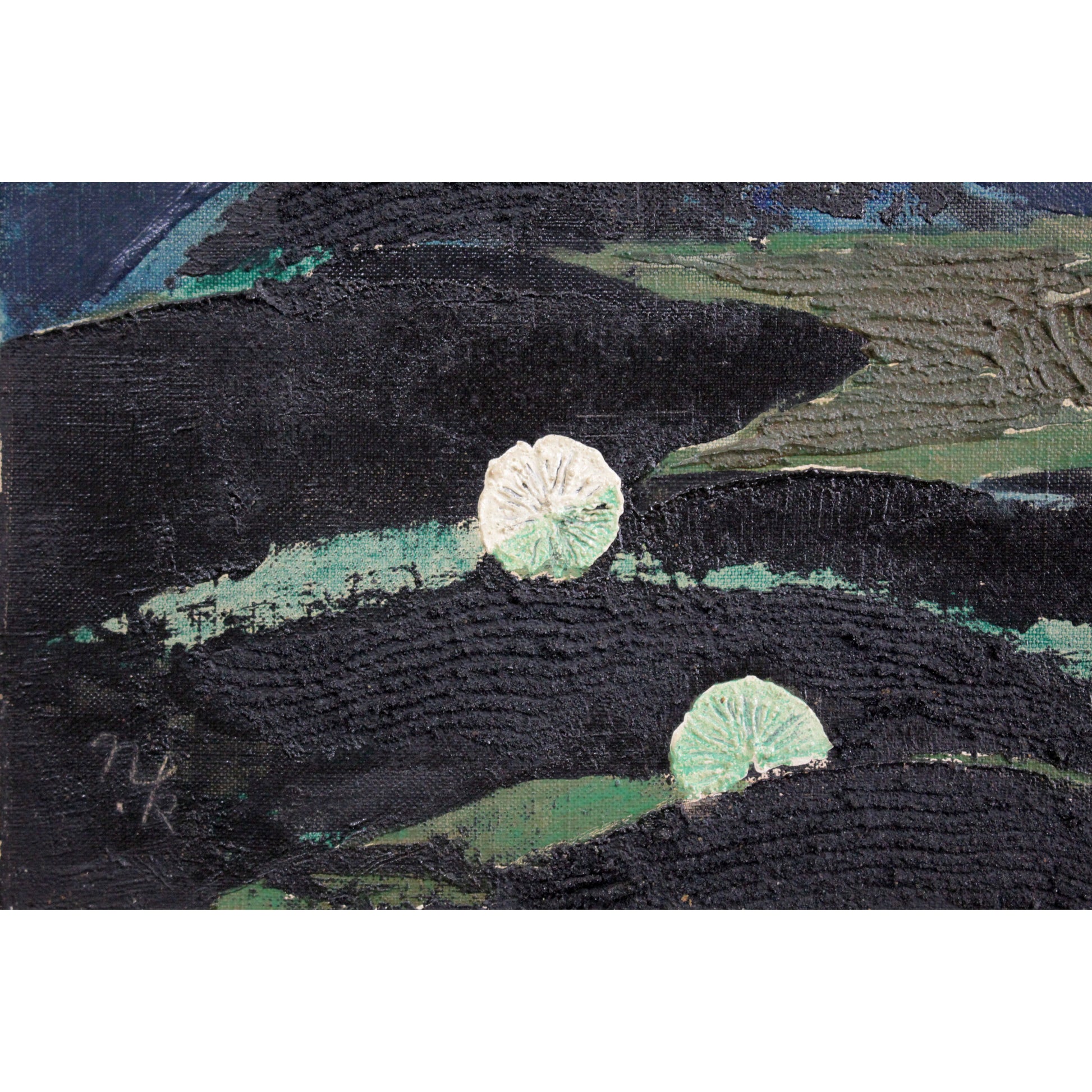 E5_9B_BD_E6_9D_BE_E7_99_BB__E7_99_BD_E3_81_84_E9_AD_9A__E3_82_B5_E3_82_A4_E3_83_B3