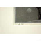 E5_A4_A7_E6_9C_AC_E9_9D_96__E5_8C_97_E3_81_AE_E6_A1_9Cb__E9_99_90_E5_AE_9A