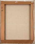 E5_A5_A5_E6_9D_91_E6_AD_A3_E4_BA_BA__E7_84_A1_E9_A1_8C__E8_A3_8F