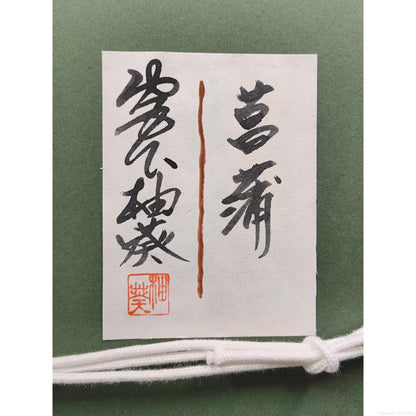 E5_AE_AE_E4_B8_8B_E6_9F_9A_E8_91_B5__E8_8F_96_E8_92_B2__E5_85_B1_E3_82_B7_E3_83_BC_E3_83_AB