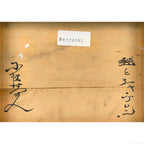 E5_B0_8F_E6_BE_A4_E6_B8_85_E4_BA_BA__E6_AF_AC_E3_81_A8_E3_82_B7_E3_83_A3__E3_83_96_E3_83_AD_E3_83_B3__E8_A3_8F
