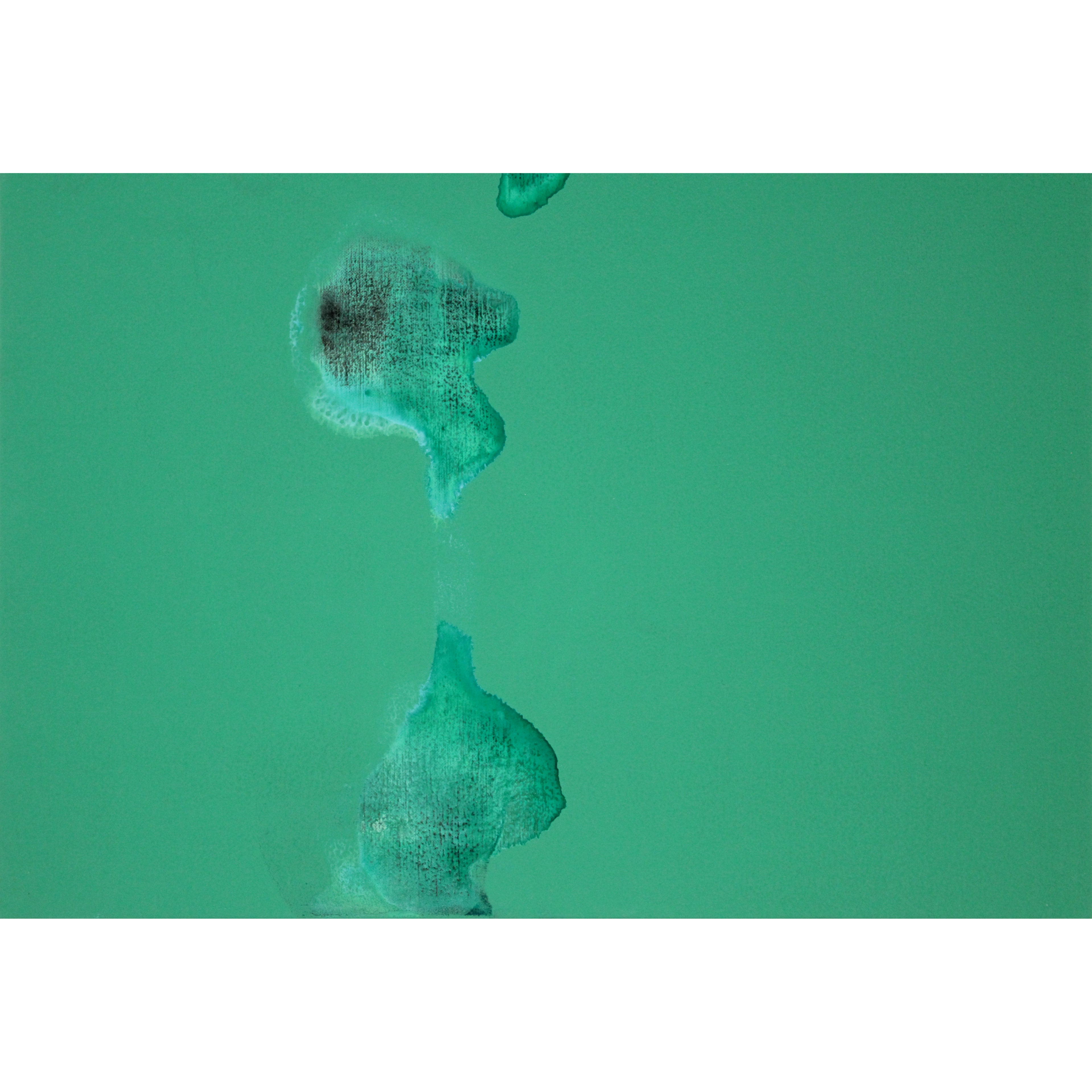 E5_B0_BE_E5_BD_A2_E7_B4_94__59_02