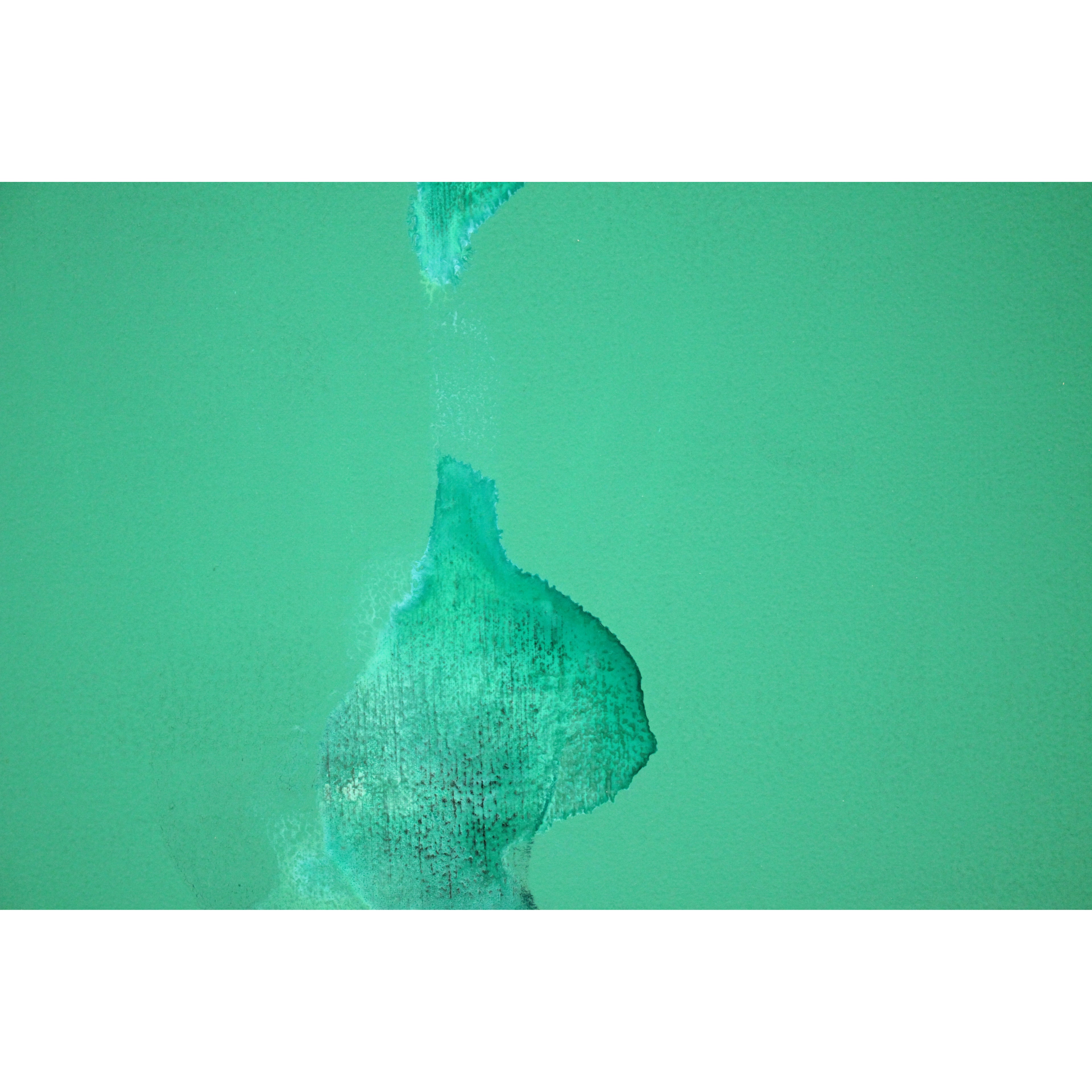 E5_B0_BE_E5_BD_A2_E7_B4_94__59_05