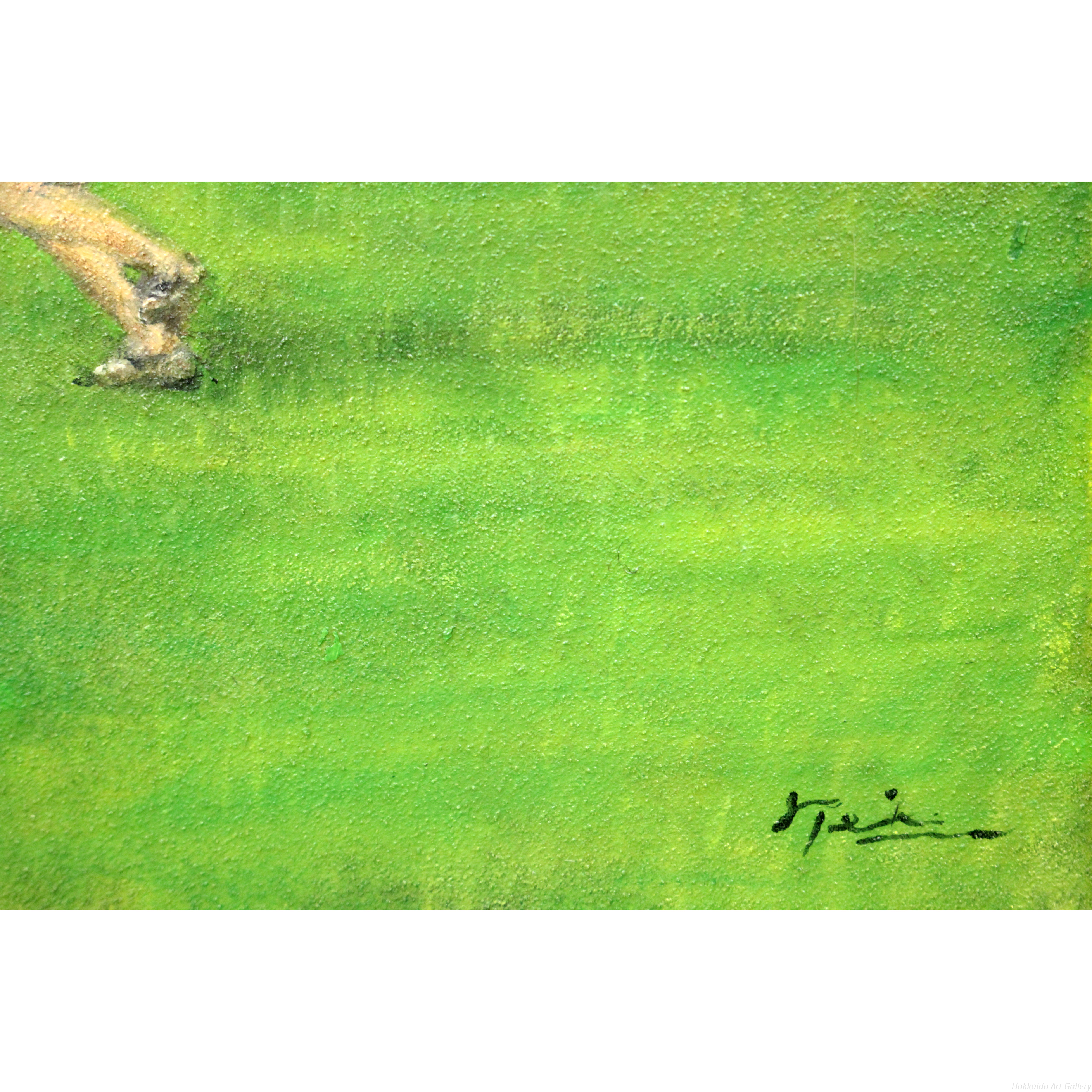 山本貞 『蝶を追う』 油彩画 - 北海道画廊