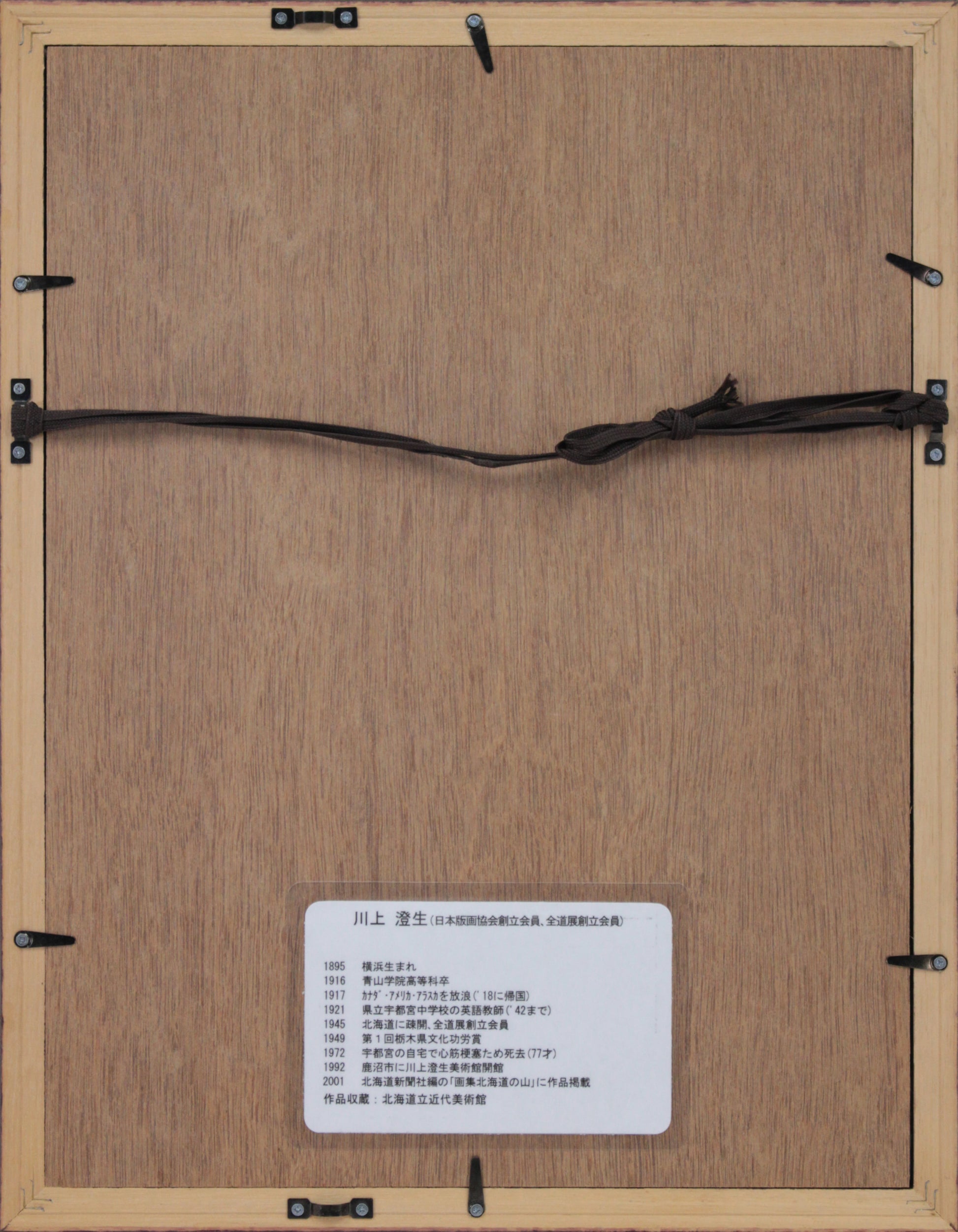 E5_B7_9D_E4_B8_8A_E6_BE_84_E7_94_9F__E3_83_A9_E3_83_B3_E3_83_97_03