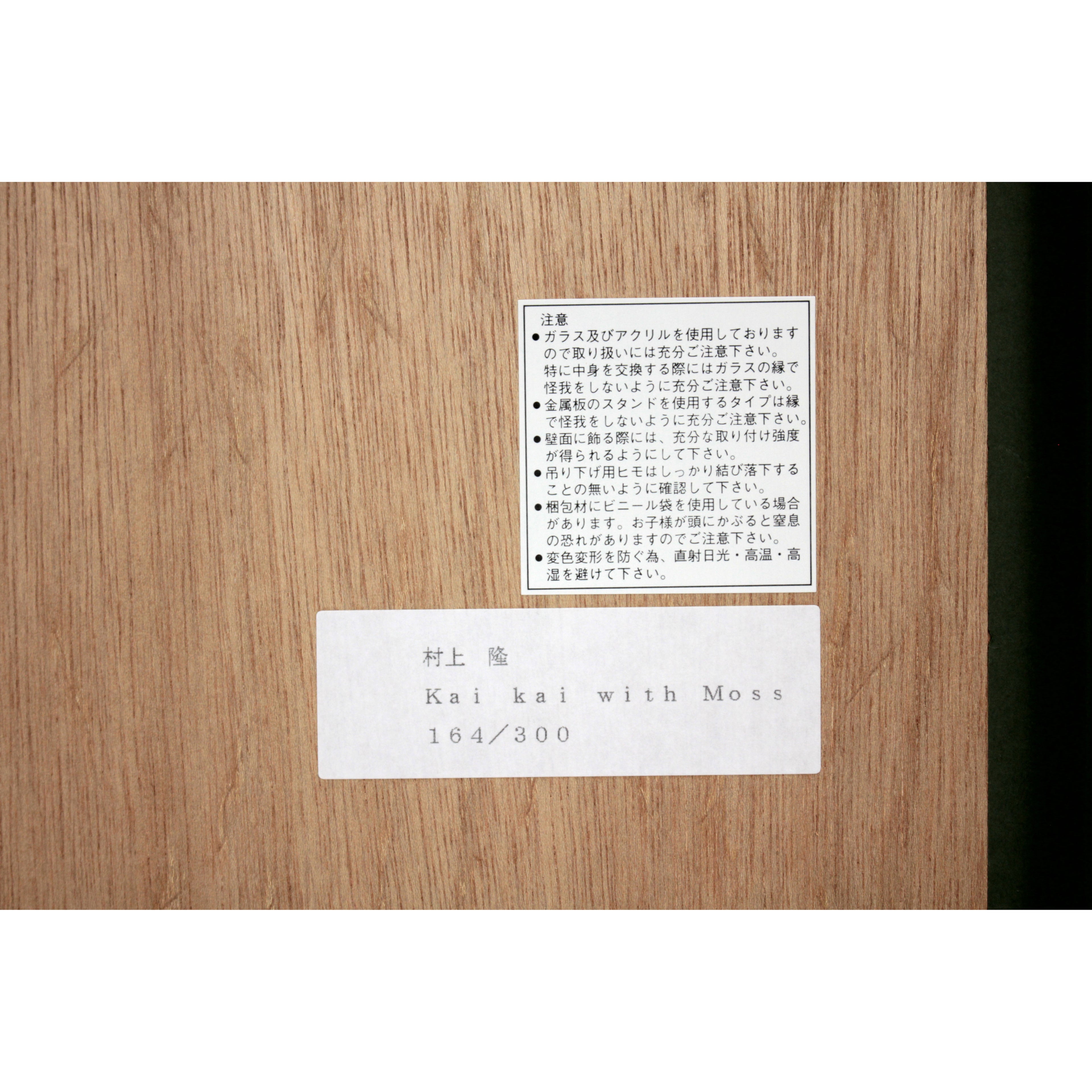 E6_9D_91_E4_B8_8A_E9_9A_86_Kaikai_with_Moss__E8_A3_8F_E3_82_B7_E3_83_BC_E3_83_AB