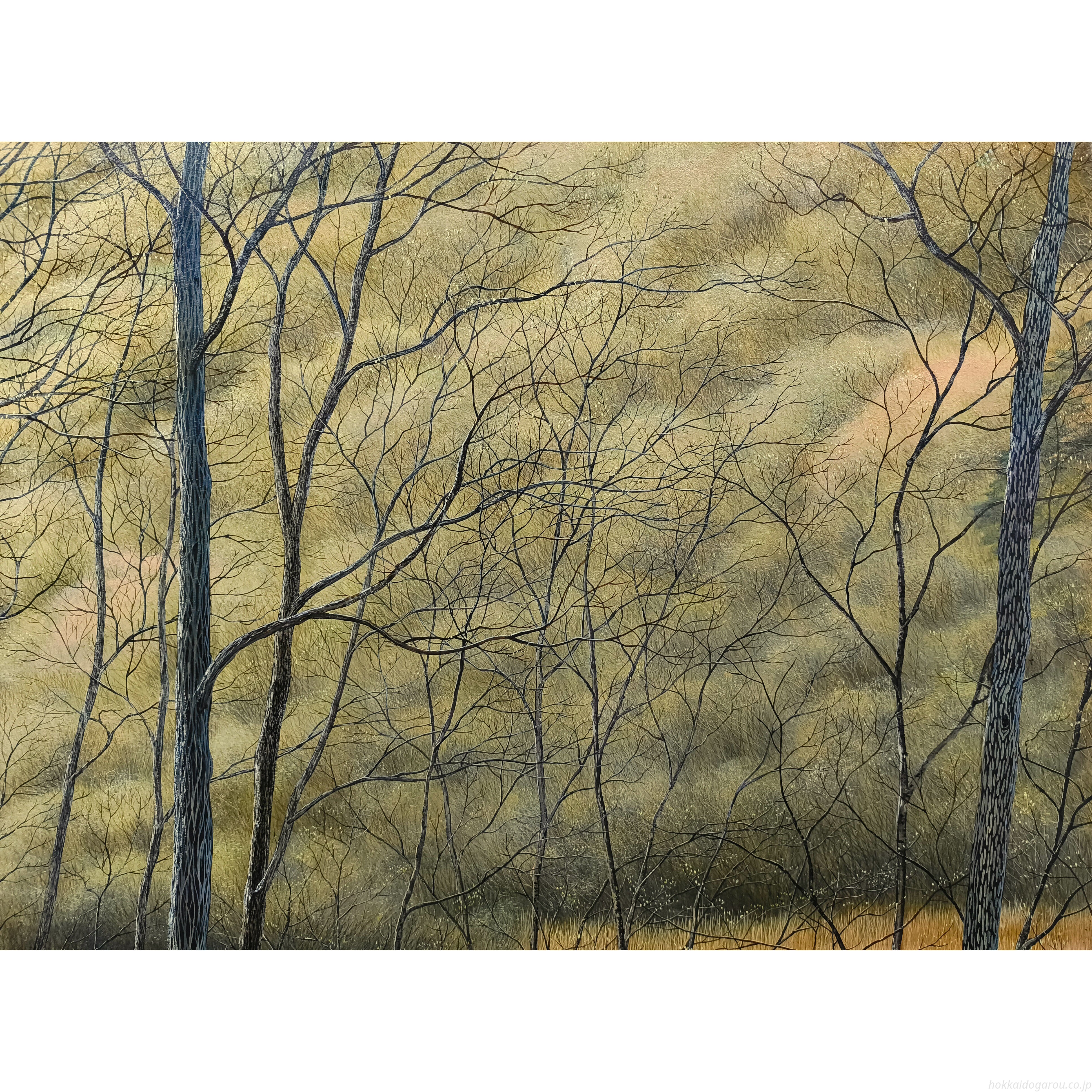 松本忍 『谷地の芽ぶき』 油彩画 - 北海道画廊