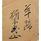 E6_A5_A2_E5_8E_9F_E6_AD_A6_E6_AD_A3__E7_BE_8A_E8_B9_84__E8_A3_8F