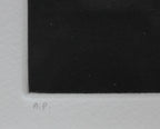 E6_A8_AA_E4_BA_95_E5_B7_B4__E3_82_AA_E3_83_AC_E3_83_B3_E3_82_B8_E3_81_A8_E3_82_8A_E3_82_93_E3_81_94__E9_99_90_E5_AE_9A