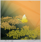 E6_B1_A0_E4_B8_8A_E5_A3_AE_E8_B1_8A__E8_8B_91-16__E8_A1_A8