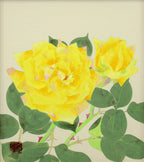 E6_B5_85_E9_87_8E_E5_A4_A9_E9_8D_BE__E9_BB_84_E3_83_90_E3_83_A92__E8_A1_A8