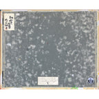 E7_89_87_E5_B2_A1_E7_90_83_E5_AD_90__E5_88_9D_E9_9B_AA_E3_81_AE_E5_AF_8C_E5_A3_AB__E8_A3_8F