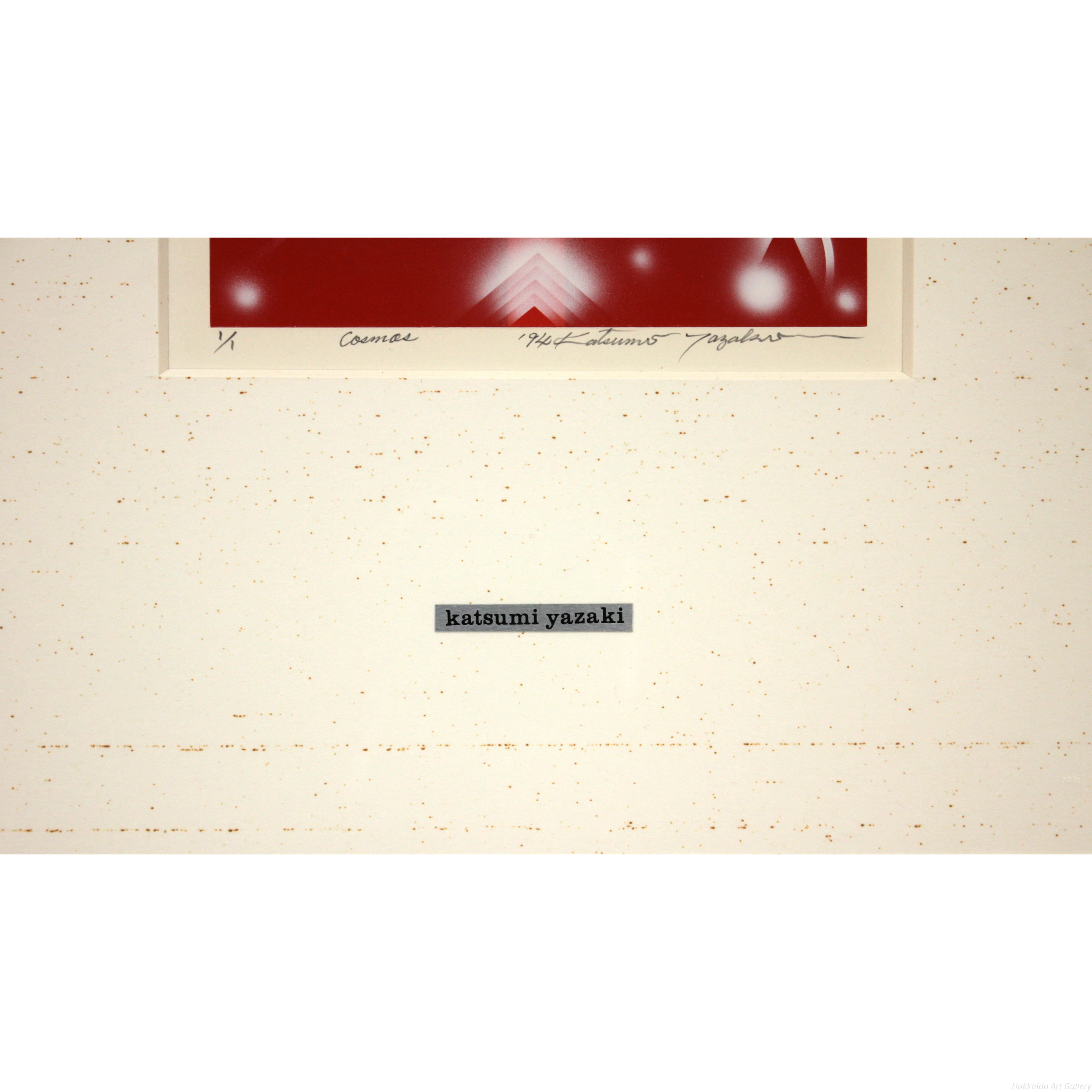 E7_9F_A2_E5_B4_8E_E5_8B_9D_E7_BE_8E_cosmos_01