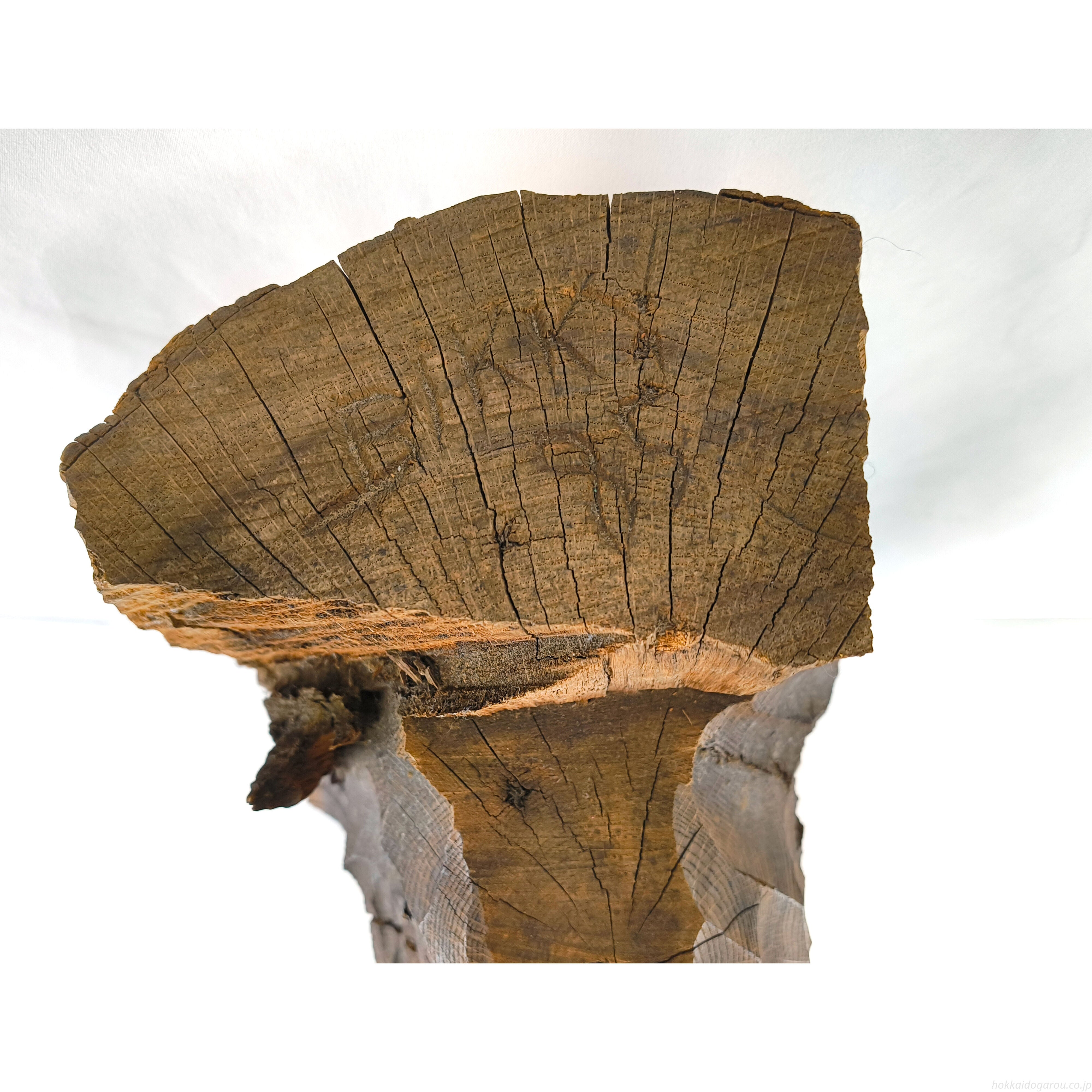 砂澤ビッキ 「お前は樹を見たか」 木彫り 砂澤ビッキ 『お前は樹を見たか』 彫刻（木） - 北海道画廊