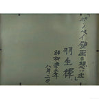 E7_BE_BD_E7_94_9F_E8_BC_9D__E3_83_9D_E3_83_B3_E3_83_9A_E3_82_A4__E8_A3_8F