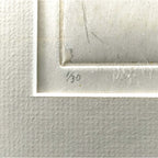 E8_84_87_E7_94_B0_E5_92_8C__E9_B3_A9__E9_99_90_E5_AE_9A