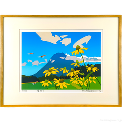 夏空に