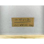 E8_9B_AF_E5_AD_90_E5_96_84_E6_82_A6__E7_99_BD_E3_81_84_E6_A4_85_E5_AD_90_E3_81_A8_E8_8A_B1__E8_A3_8F_E3_82_B7_E3_83_BC_E3_83_AB