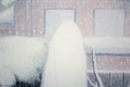 E9_AB_98_E6_9C_A8_E9_BB_84_E5_8F_B2__E9_9B_AA_05